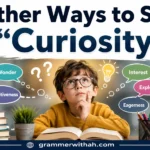 Other Ways to Say "Curiosity"