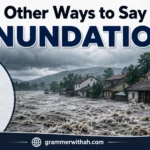 Other Ways to Say “INUNDATION”