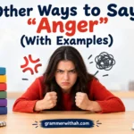 Other Ways to Say “Anger”