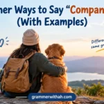 Other Ways to Say “Companion”