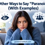 Other Ways to Say “Paranoid”